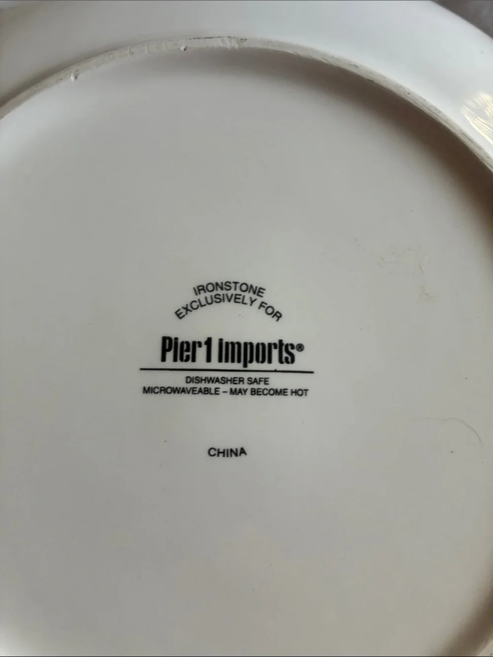 Pier 1 Fall Dogs & Woman Decorative Dinner Plate in White, Brown, Orange, Green